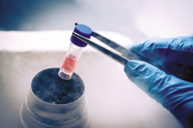 ТЕРАПИЈА МАТИЧНИМ ЋЕЛИЈАМА: Није магија, већ лек и за најтежа обољења